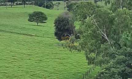 Fazenda 2.105,40 hectares (435 alqueires) a 220 km de Goiânia é próximo a Rio Verde.