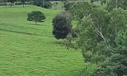 Fazenda 2.105,40 hectares (435 alqueires) a 220 km de goiânia é próximo a rio verde.