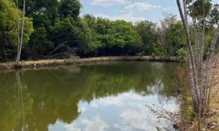 Vendo fazenda propria para criacão de gado em jandaia