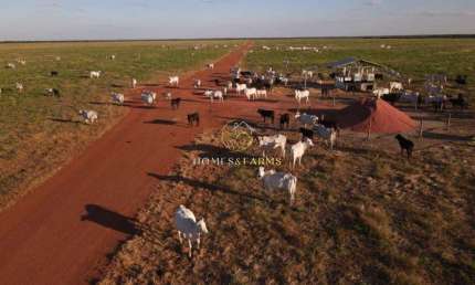 Fazenda 33 mil há na região de Porto Alegre do Norte MT