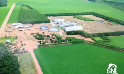 Fazenda com fabrica de óleos vegetais em nova mutu/ mt.