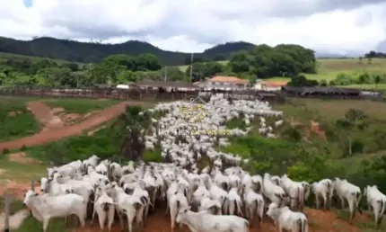 Fazenda com 2 salas à venda na Avenida Principal, SN, Zona Rural, Caiapônia
