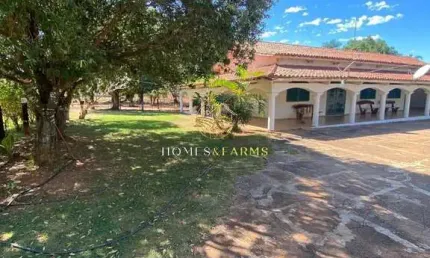 Fazenda à Venda de 217 alqueires na cidade de Mundo Novo-GO.