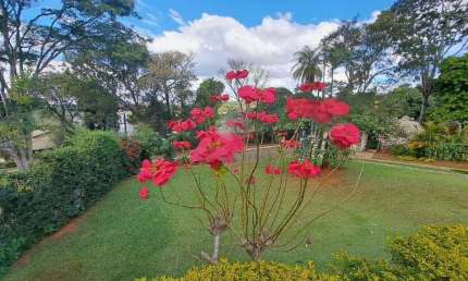 Casa à venda, 4 quartos, 3 suítes, 4 vagas, Condados da Lagoa - LAGOA SANTA/MG