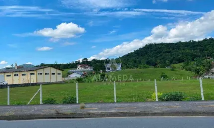 Terreno, 5000 m² - venda por R$ 4.500.000,00 ou aluguel por R$ 2.100,00/mês - Fidélis - Blumenau/SC