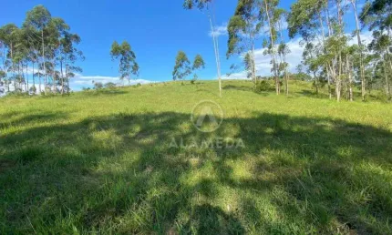 Terreno à venda, 85000 m² por R$ 5.400.000,00 - Gasparinho - Gaspar/SC