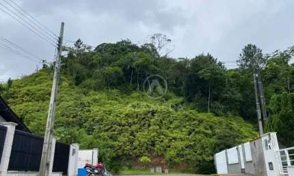 Terreno à venda, 70000 m² por R$ 1.500.000,00 - Gaspar Grande - Gaspar/SC