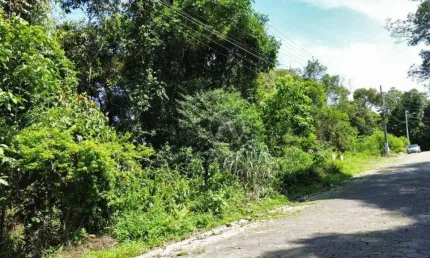 Terreno à venda, 1387 m² por R$ 250.000,00 - Garcia - Blumenau/SC