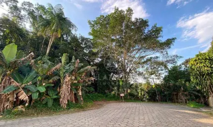 Terreno à venda, 553 m² por R$ 330.000,01 - Fortaleza - Blumenau/SC