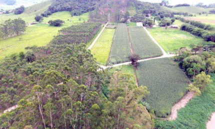 Terreno à venda no Lagoa, Gaspar 