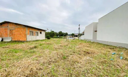 Terreno à venda, 360 m² por r$ 199.000,01 - figueira - gaspar/sc