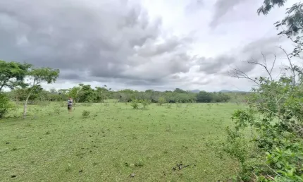 Terreno para Venda em São Pedro da Aldeia, São Mateus