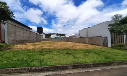 Terreno em condomínio fechado à venda na Rua Professor Virgílio Pereira da Silva, Residencial Alvim, Juiz de Fora