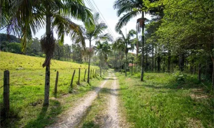 Terreno à venda em vila darcy penteado (mailasqui) - sp