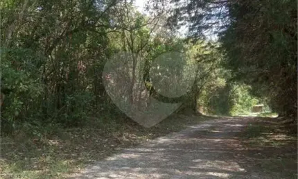 Terreno à venda na Turística Do Morro Do Saboó, Saboó, São Roque