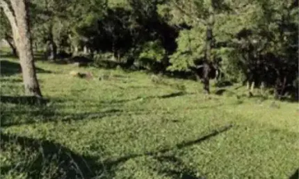 Área de Terra à venda em Alto Da Serra (mailasqui) - SP