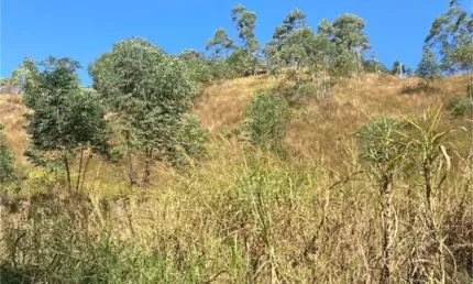 Terreno à venda na Benedito S Rocha, Alto Da Serra (Mailasqui), São Roque