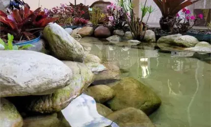 Chácara com 4 quartos à venda em Jardim Cardoso (mailasqui) - SP