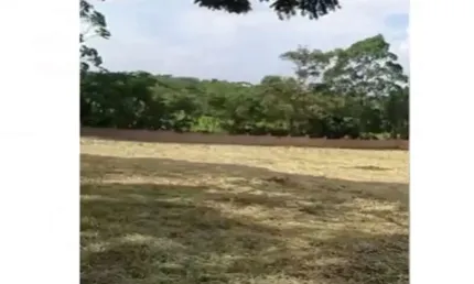 Terreno em condomínio fechado à venda na Turística Da Capela, Campininha (Canguera), São Roque
