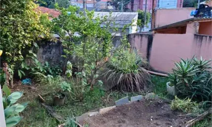 Campo Grande é considerado uma das melhores regiões de São Paulo para se viver bem.
