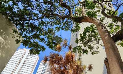 Apartamento no Cambuci (Ed. Condomínio Jardim Tropical)