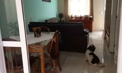 Casa em condomínio fechado com 3 quartos à venda na Rua Miguel Yunes, 500, Campo Grande, São Paulo, 95 m2 por R$ 1.064.000