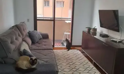 Apartamento com 3 quartos à venda na Avenida Anita Franchini, 853, Santa Terezinha, São Bernardo do Campo, 86 m2 por R$ 480.000