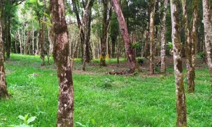 Chácara à venda no recreio da serra em piraquara!!!