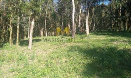 Chácara, 7000m², à venda no Recreio da Serra em Piraquara!!!