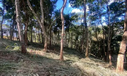 Terreno em condomínio fechado à venda na Rua Prefeito Luiz Penna, Chácaras Passos Del Rey, Juiz de Fora