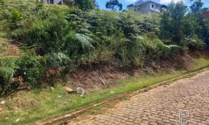 Terreno à venda, 324 m² por R$ 245.000,00 - Albuquerque - Teresópolis/RJ