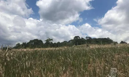 Terreno à venda, 630 m² - Pessegueiros - Teresópolis/RJ