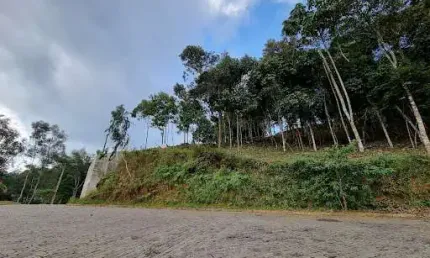 Terreno à venda, 567 m² por R$ 155.000,00 - Vargem Grande - Teresópolis/RJ