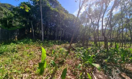 Terreno à venda, 4430 m² por R$ 1.300.000,00 - Comary - Teresópolis/RJ