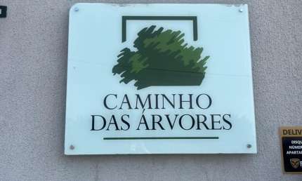 Apartamento 49m²- 2 dormitórios 1 suite Caminho Das Árvores