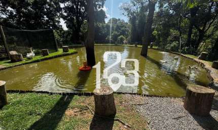 Chácara com 2 dormitórios à venda, 20000 m² por R$ 2.500.000,00 - Pedra Bela - Pedra Bela/SP