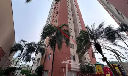 Apartamento com 3 quartos à venda na bela suiça, londrina  por r$ 590.000