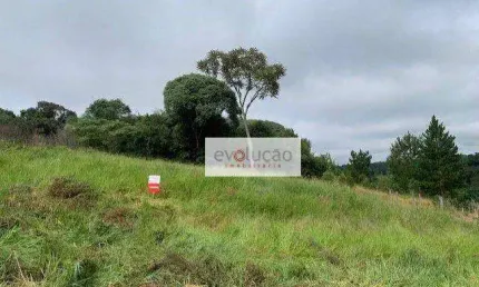 Terreno à venda na Rua Said Ajuz, Estrela, Ponta Grossa