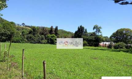 Chácara à venda, 39300 m² - Morro Grande - Colombo/PR