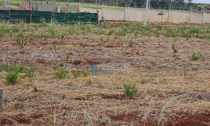 Terreno à venda, 250 m² por R$ 239.000,00 - Residencial Quinta da Mata - Ribeirão Preto/SP