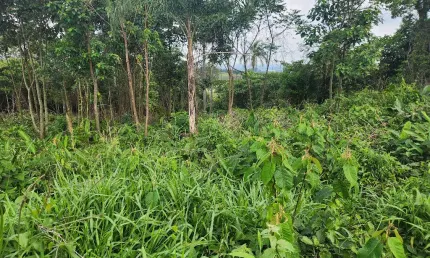 Seu refúgio em meio à natureza espera por você no Sebandinha, Mairinque-SP!