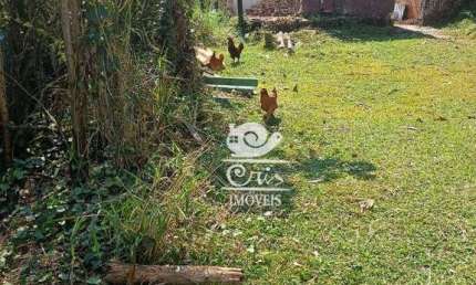 Terreno à venda no Santa Luzia, Ribeirão Pires 