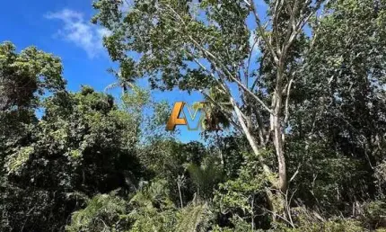 Terreno à venda no bairro praia do forte - mata de são joão/ba