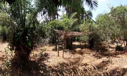 Chácara de 3.900 m² à venda por R$ 900.000 no Conjunto Estrela do Sul em Aparecida de Goiânia