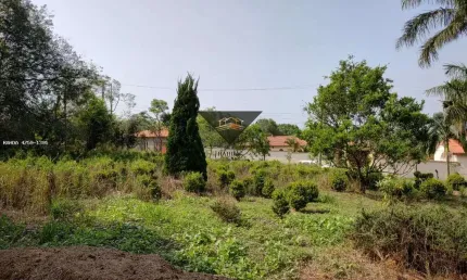 Terreno à venda na Rua Anna Jorge Gama, Chácaras Duchen, Suzano
