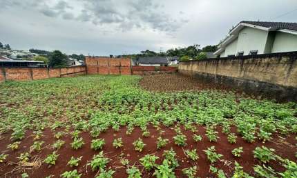 Terreno à venda no São Francisco, Pato Branco 
