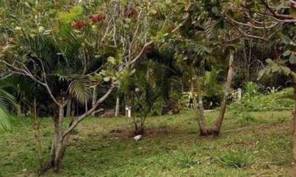 Terreno à venda, 5628.00 m2 por R$750000.00  - Vargem Pequena - Florianopolis/SC
