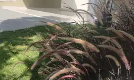 Casa em condomínio fechado com 3 quartos à venda na Condomínio Sunset, 987, Parque Campolim, Sorocaba