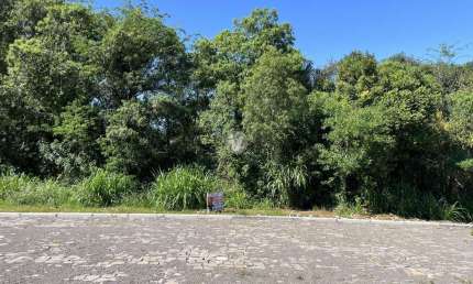 Terreno à venda na Rua Dom Albino Luciani, LOTE 05, Vila Catani, Silveira Martins