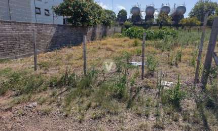 Terreno à venda na Rua Adyles Monteiro de Almeida, 00, Pé de Plátano, Santa Maria